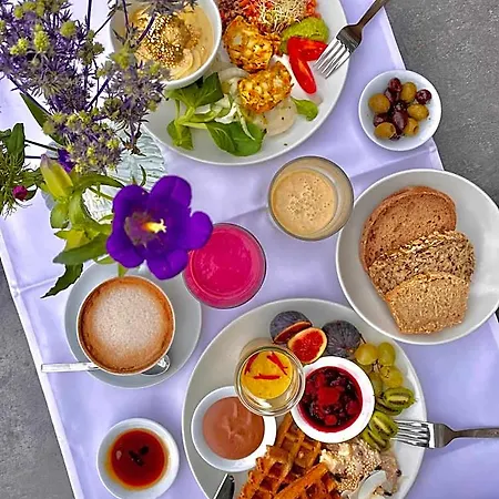 Vegan Health Sonnenberg
