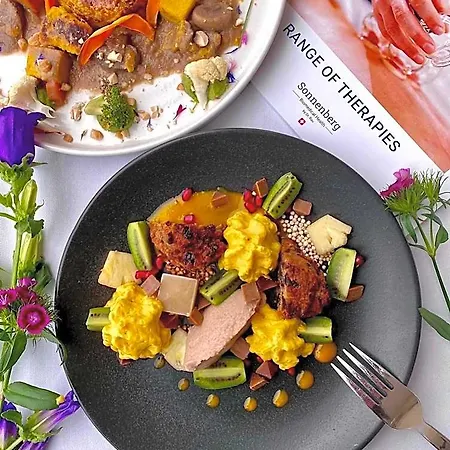 Vegan Health Sonnenberg 4*