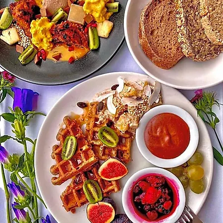 Vegan Health Sonnenberg Hotel 4*
