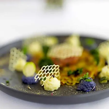 Hotel Vegan Health Sonnenberg 4*