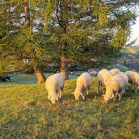 Hotel Vegan Health Sonnenberg 4*