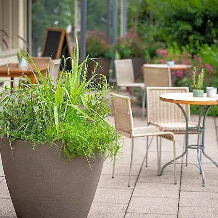 Hotel Vegan Health Sonnenberg 4*