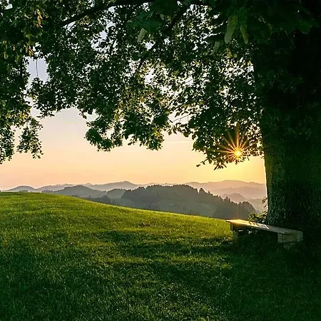 Vegan Health Sonnenberg 4*