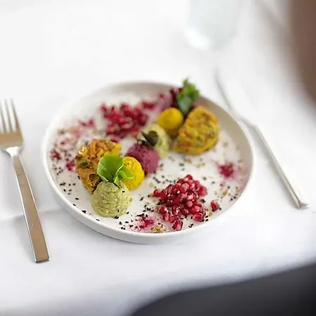 Vegan Health Sonnenberg