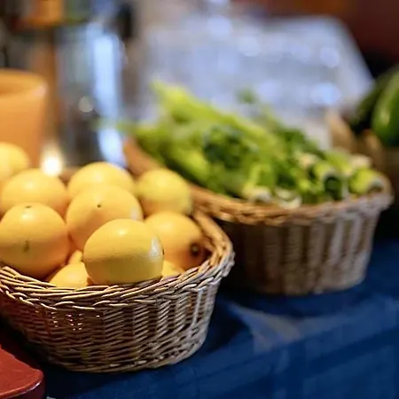 Vegan Health Sonnenberg